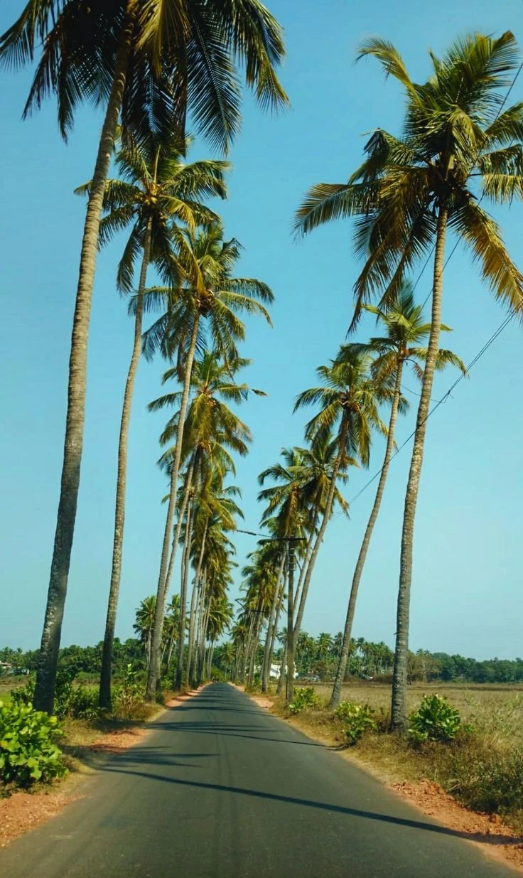 PriyaRaj